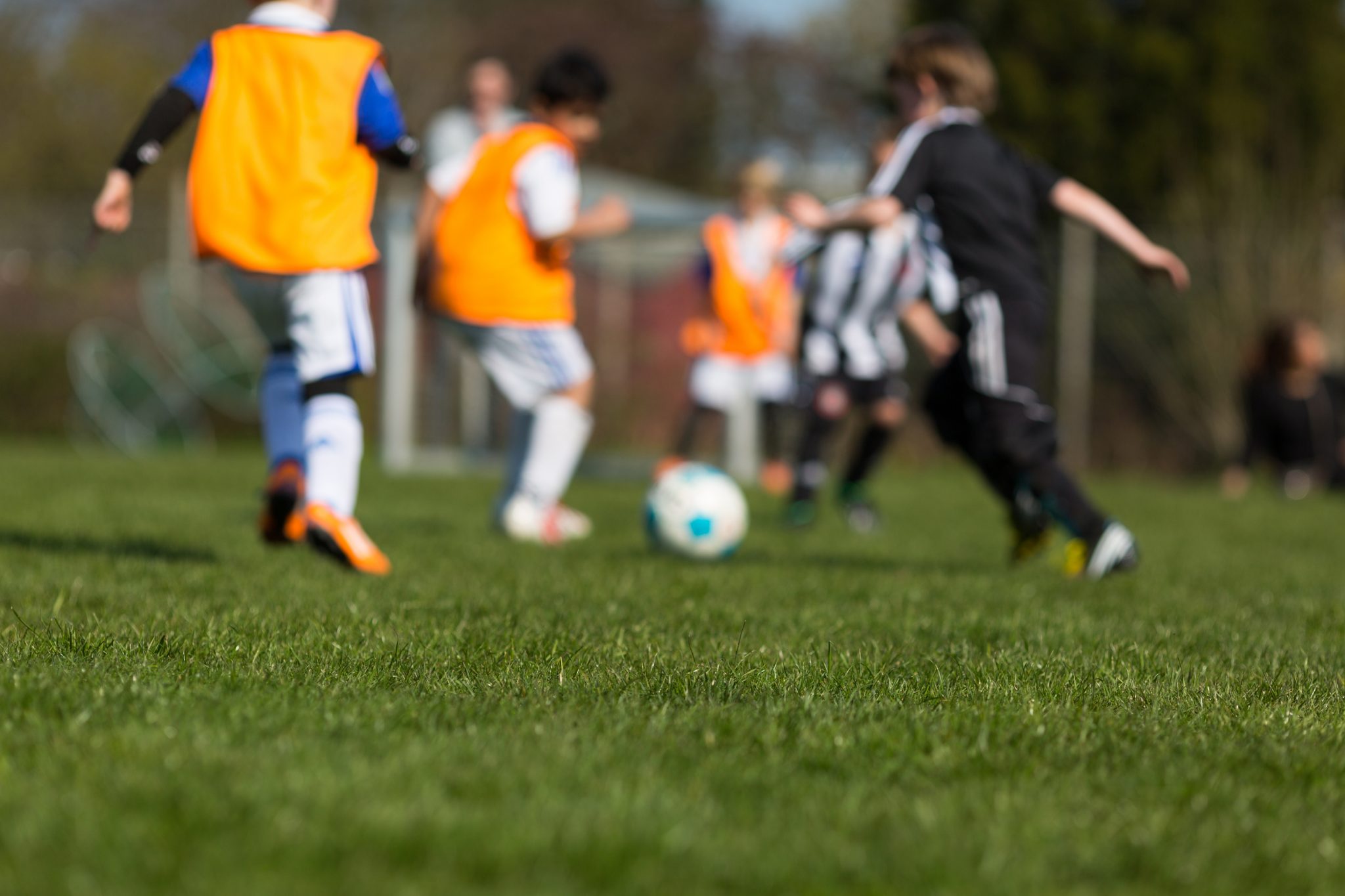 Sports