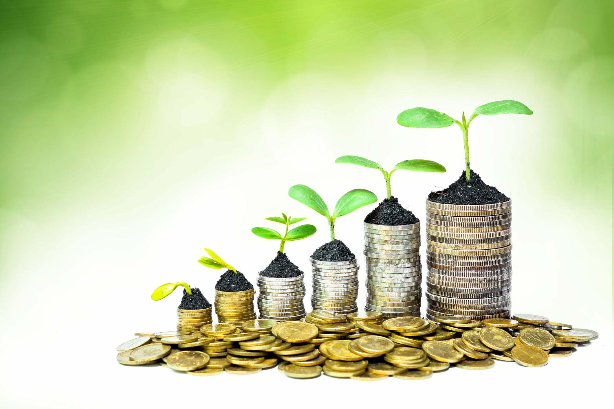 Investing