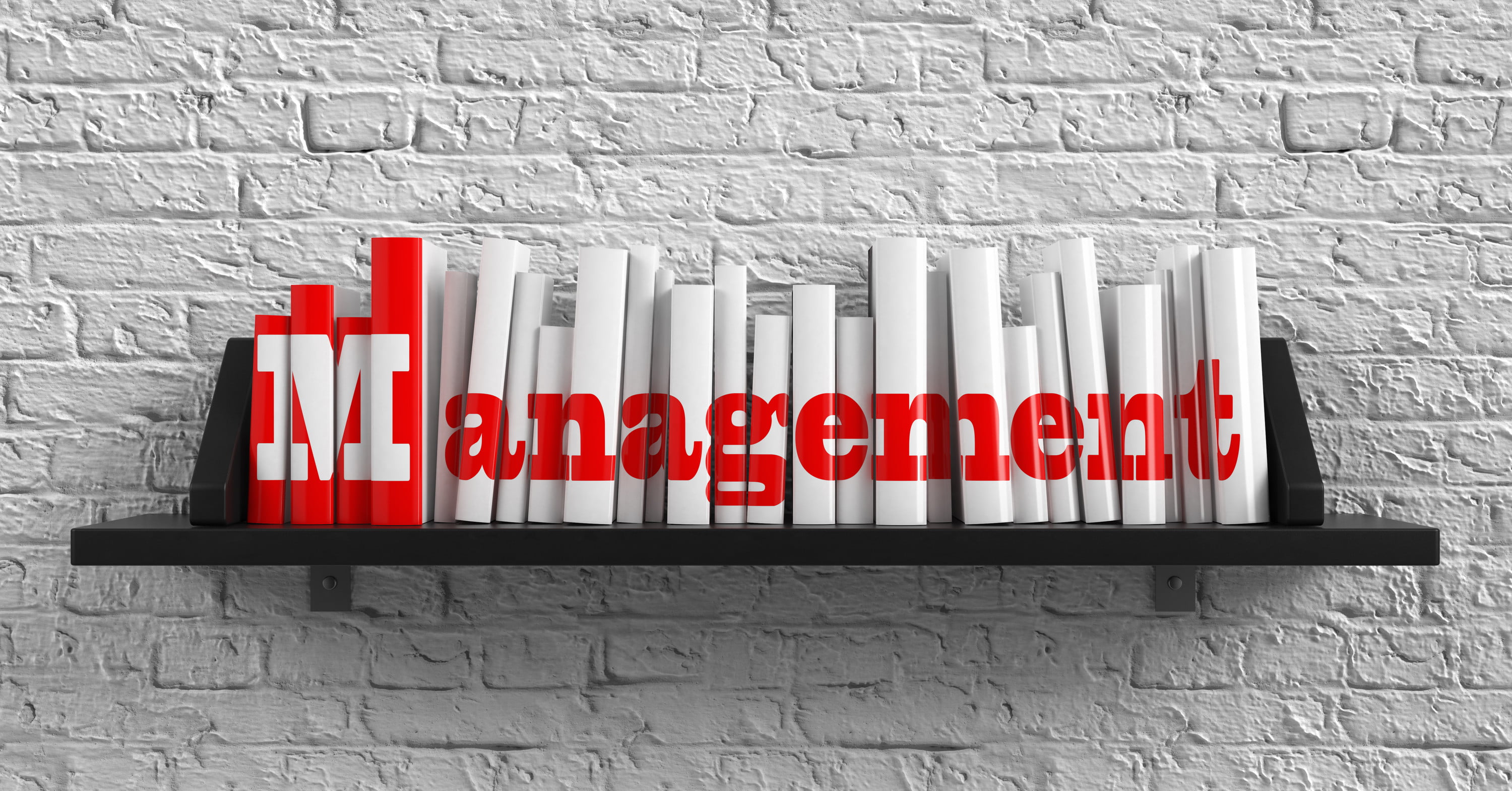  Management
