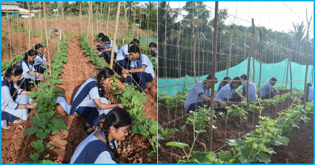 Soil schooling: There’s an app for that