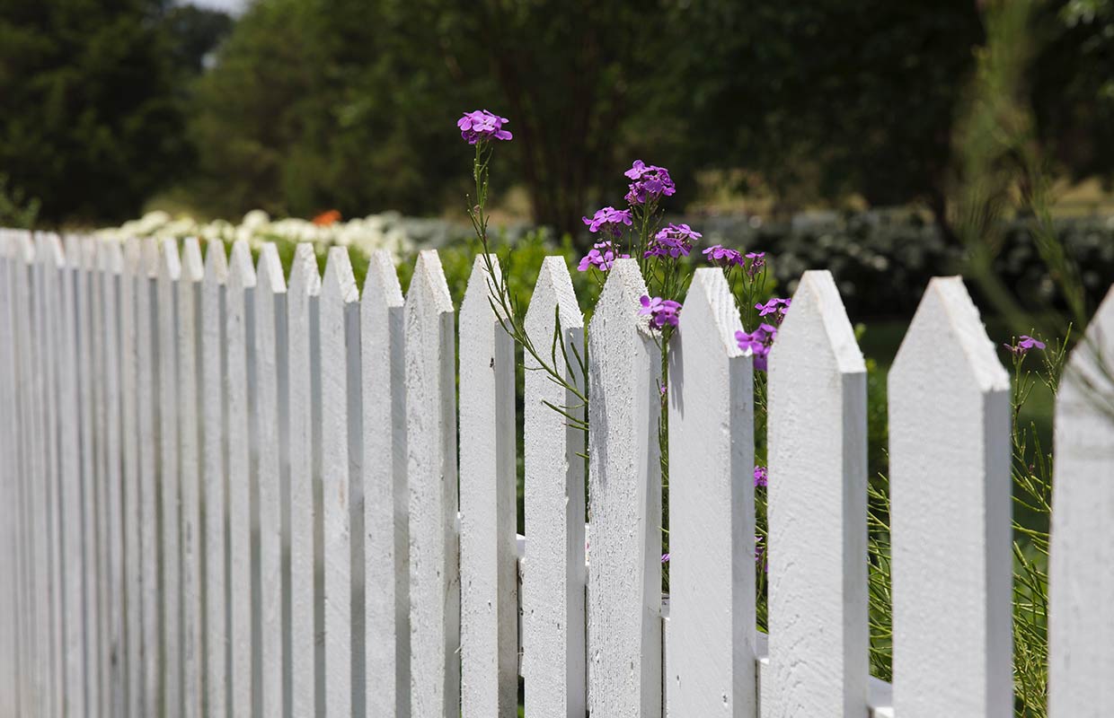 To fence or not to fence?