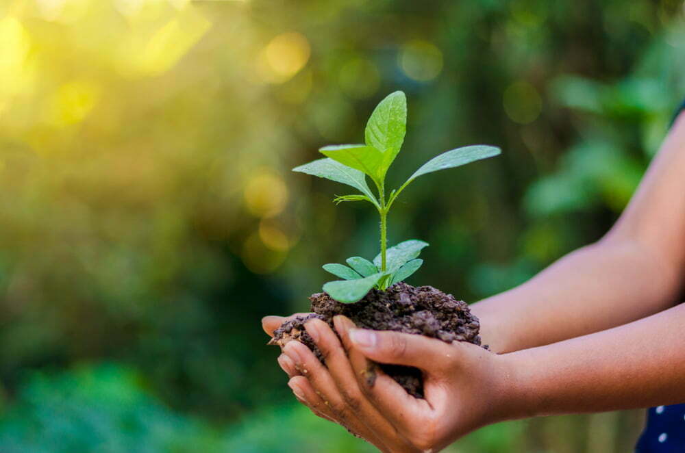 Protecting nature—there are apps for that April 14, 2016
