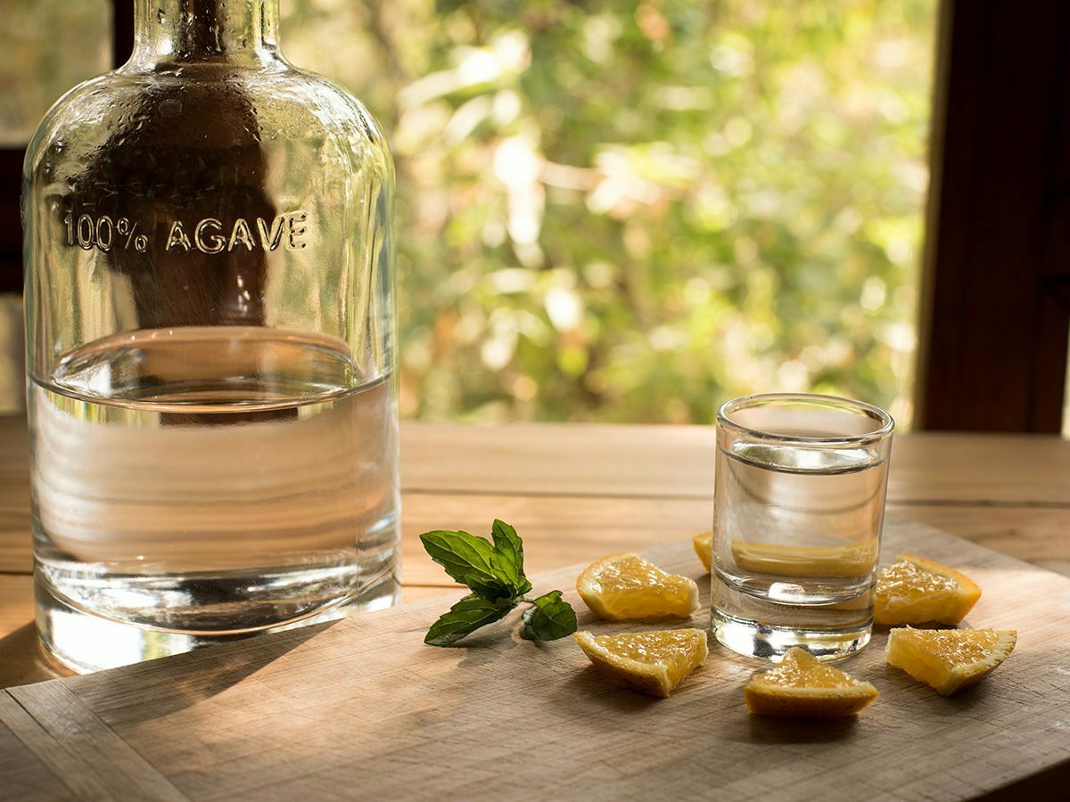 How to Choose a Mezcal Tour in Oaxaca Mexico