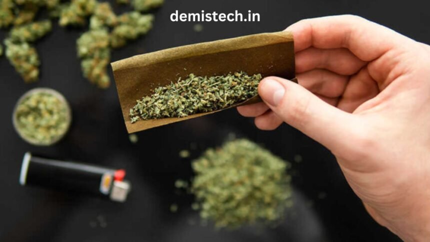 Blunturi: The Ultimate Guide to Blunt Smoking